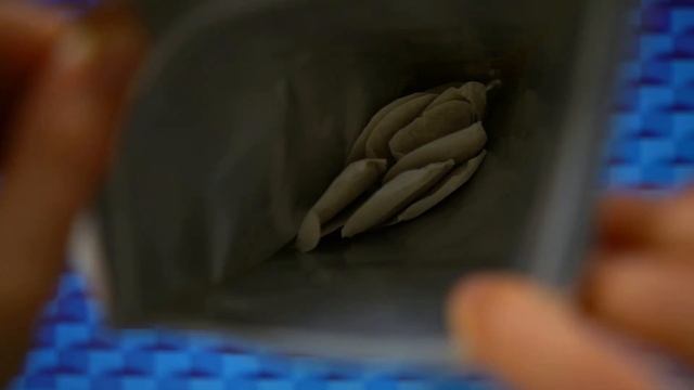 FGO Chamomile Tea Review смотреть онлайн