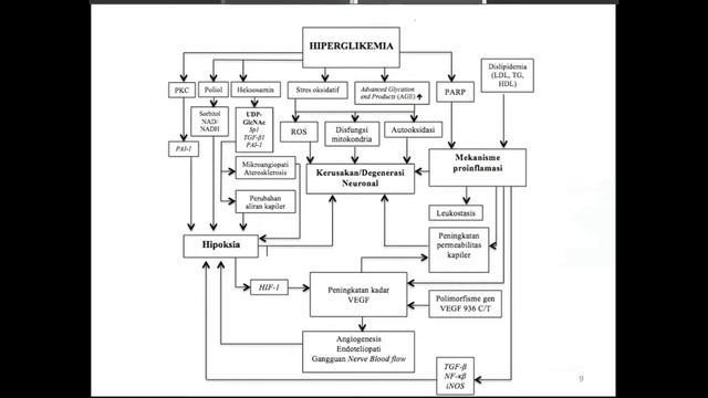 Peran Polimorfisme Gen VEGF pada Polineuropati Diabetika - Dr.dr. Jimmy Barus, Sp.S смотреть онлайн
