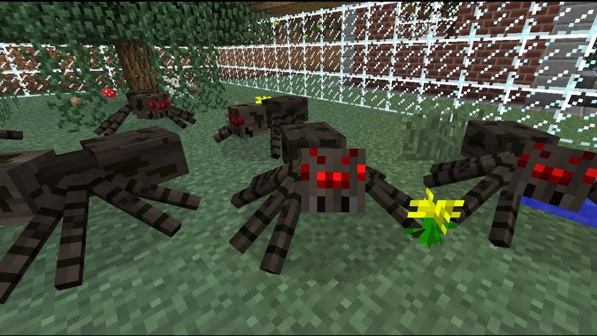 Интересные факты о пауках