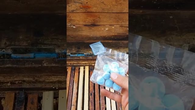 Зберігання суші смотреть онлайн