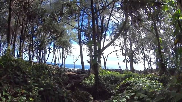 Hidden Walk To The Ocean - Hawaii