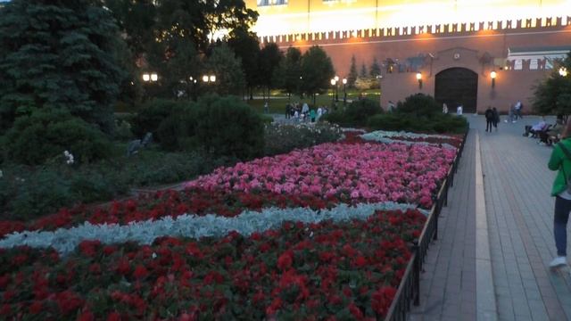 Прогулка вокруг Кремля смотреть онлайн
