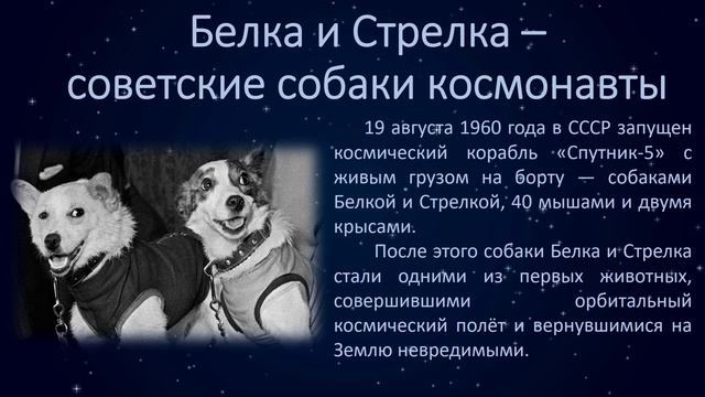 Первые в космосе смотреть онлайн
