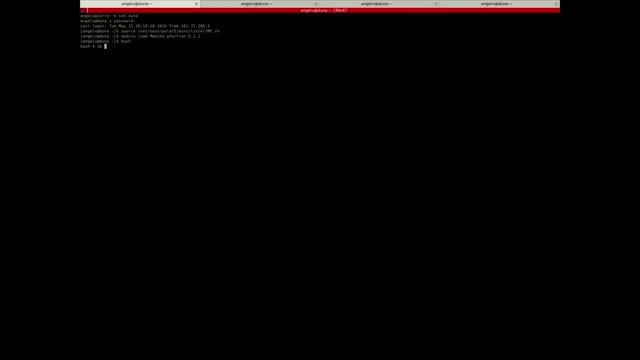 Fortran Parallel Debugging смотреть онлайн