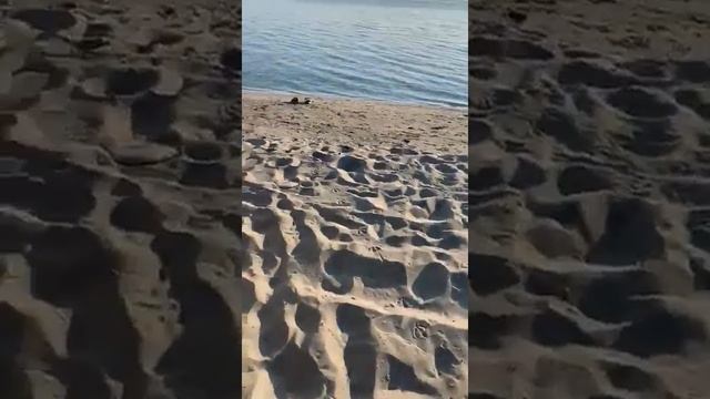 🔥Полный перетяжка сидений 🔥 Toyota Prado 150