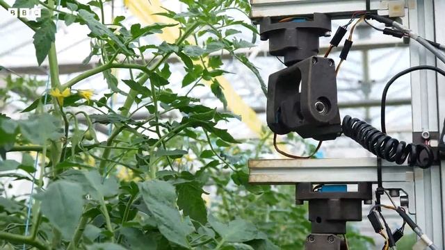 Slime, Plastic-Eating Worms & Other Ways To Fix The World | Planet Fix | LIVE | BBC Science смотреть онлайн