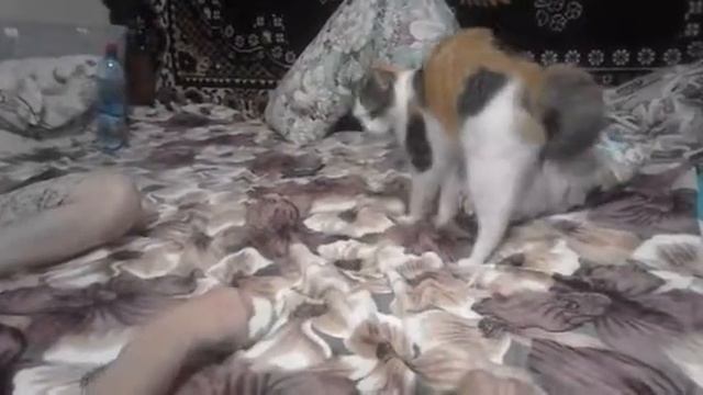 Муля в шоке смотреть онлайн