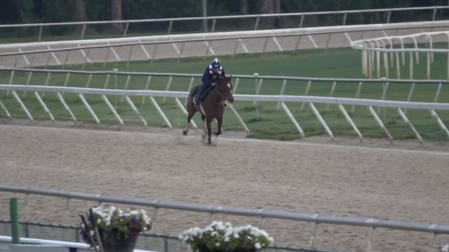 FOCUS 3/8 смотреть онлайн