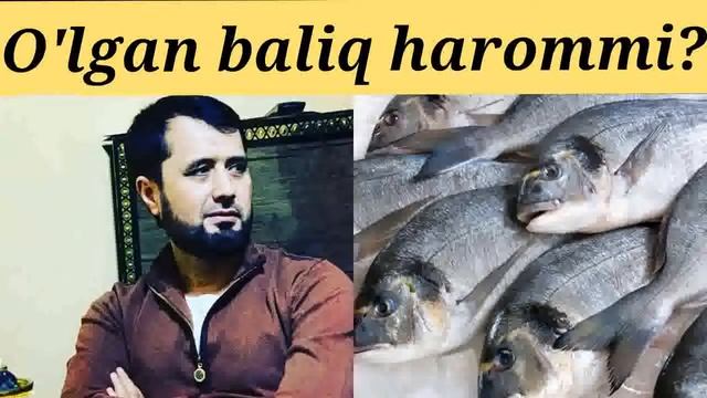 O'lgan baliqni yeyish mumkinmi? | Abror Muxtor Ali смотреть онлайн