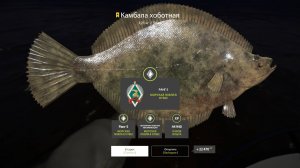 Русская рыбалка 4-Камбала трофейная (квалификация обезьянка)