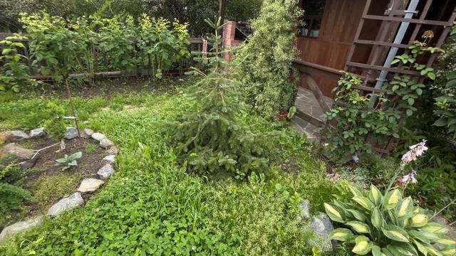 Уже хотим в отпуск. На дачу с ночёвкой. НЕЛЕТО на Урале смотреть онлайн