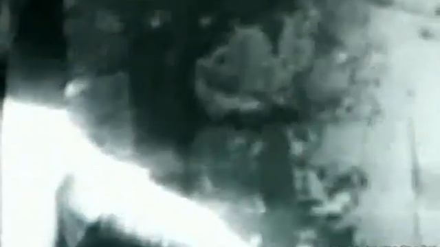 Жизнь шаги смотреть онлайн