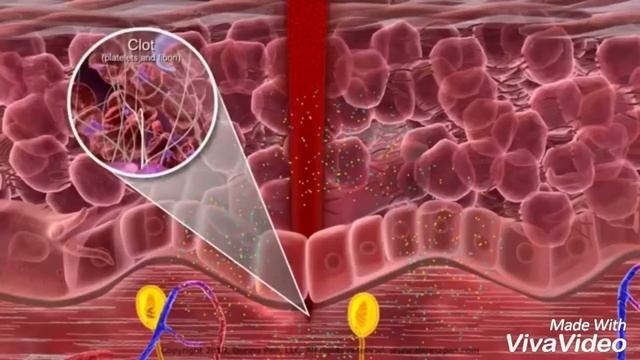 Derma pen animated video смотреть онлайн