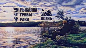 2024#15 Октябрь .ОТДЫХ НА ПРИРОДЕ ПРОДОЛЖАЕТСЯ. Рыбалка . Раки . Собираем грибы . Camping