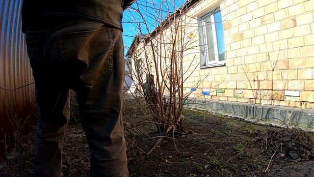 VLOG:104/MEGA Бургер из Лондона/Сырники/Шашлык смотреть онлайн