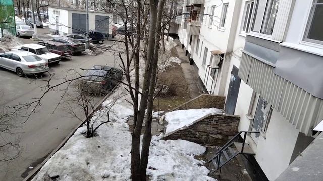 #москва #бирюлево#нидушинаулице ни души.только птицы. смотреть онлайн
