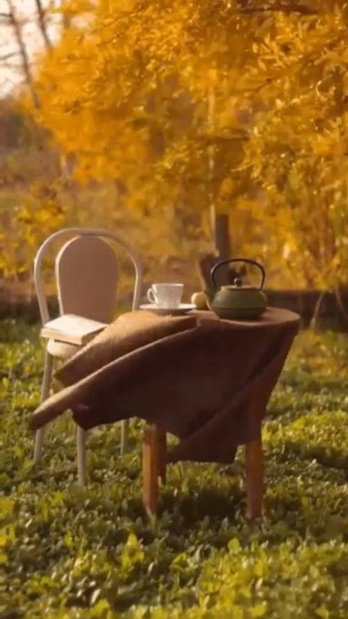 Пусть в вашей ... смотреть онлайн