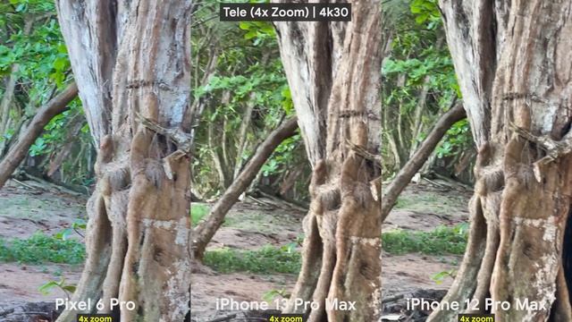 Google Pixel 6 Pro vs iPhone 13 Pro Max vs iPhone 12 Pro Max CAMERA Test. смотреть онлайн