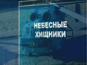 Ударная сила 160 серия (документальный сериал, 2002-2010)