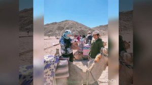 Бедуинский чай.                         Safari, Hurghada 09.02.2022