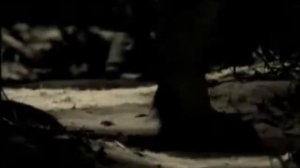 Крестовый Туз   Побег