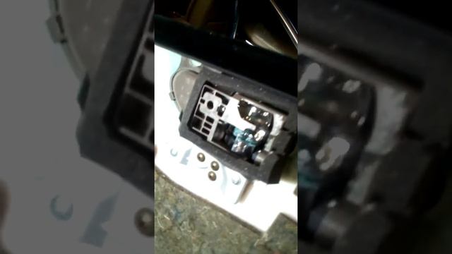 Тонировка тианы