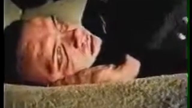 Песня о Зелёном слонике