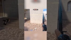 Зашёл на плент, а там...