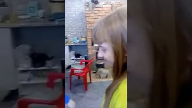 Будни, детки заболели сидим дома, снова готовили пряники. 16.02.18. смотреть онлайн