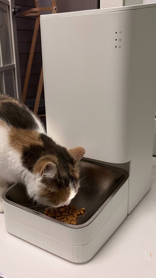 Xiaomi Smart Pet Food Feeder