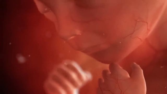 Зарождение жизни