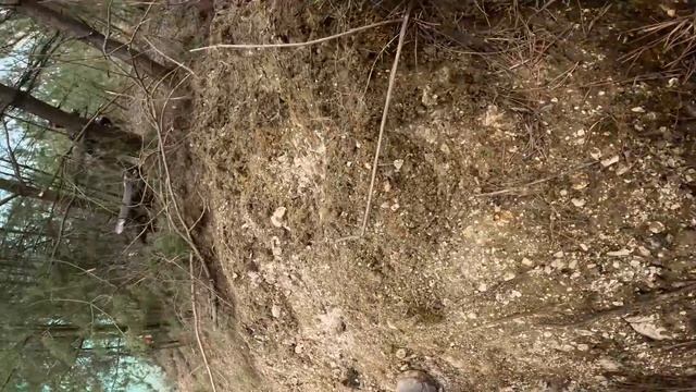 Соревнования по эндуро в КРАСИВЕЙШЕМ месте Беларуси | класс PRO | Пролог и первый гоночный день смотреть онлайн