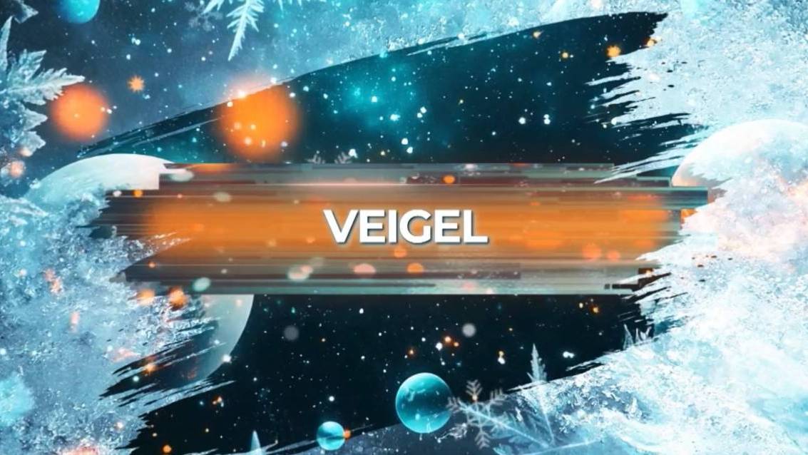 SnowПати’25: Veigel