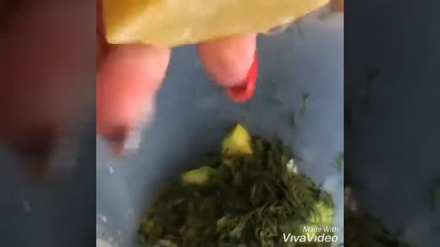 Бутерброды с авокадо 👌🏼 смотреть онлайн