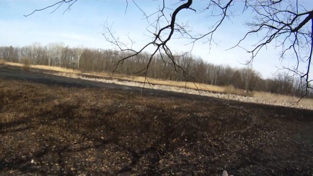 Уничтожены охотничьи угодья! Светловодский район. смотреть онлайн