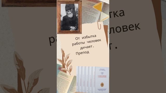 "От избытка работы человек дичает" - святой старец Паисий Святогорец #паисийсвятогорец #работа #топ смотреть онлайн