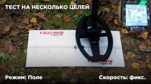 Nokta Simplex Lite | Тест на разделение