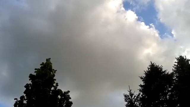 ЛЕПА ПТИЧЈА ПЕСМА. смотреть онлайн