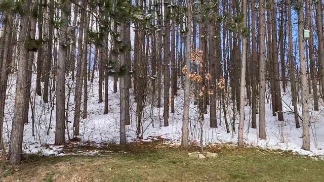 The Snow Is Melting! 💧 смотреть онлайн