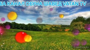 Нашид Як шабе мачнун намозашро ШИКАСТ