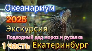 Екатеринбург 2025. Океанариум. Экскурсия в подводный мир.