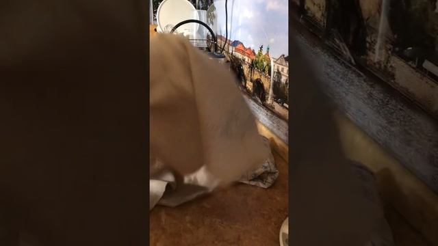 Хлеб прямо из духовки смотреть онлайн