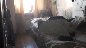 Жизнь после инсульта.Живём дальше,занимаемся