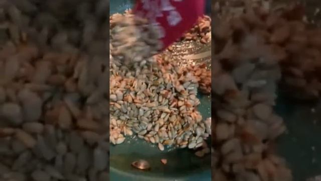 Keto sunflower Kernel Candy brittle смотреть онлайн