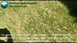 Ошибки ухода за рулонным газоном после укладки.