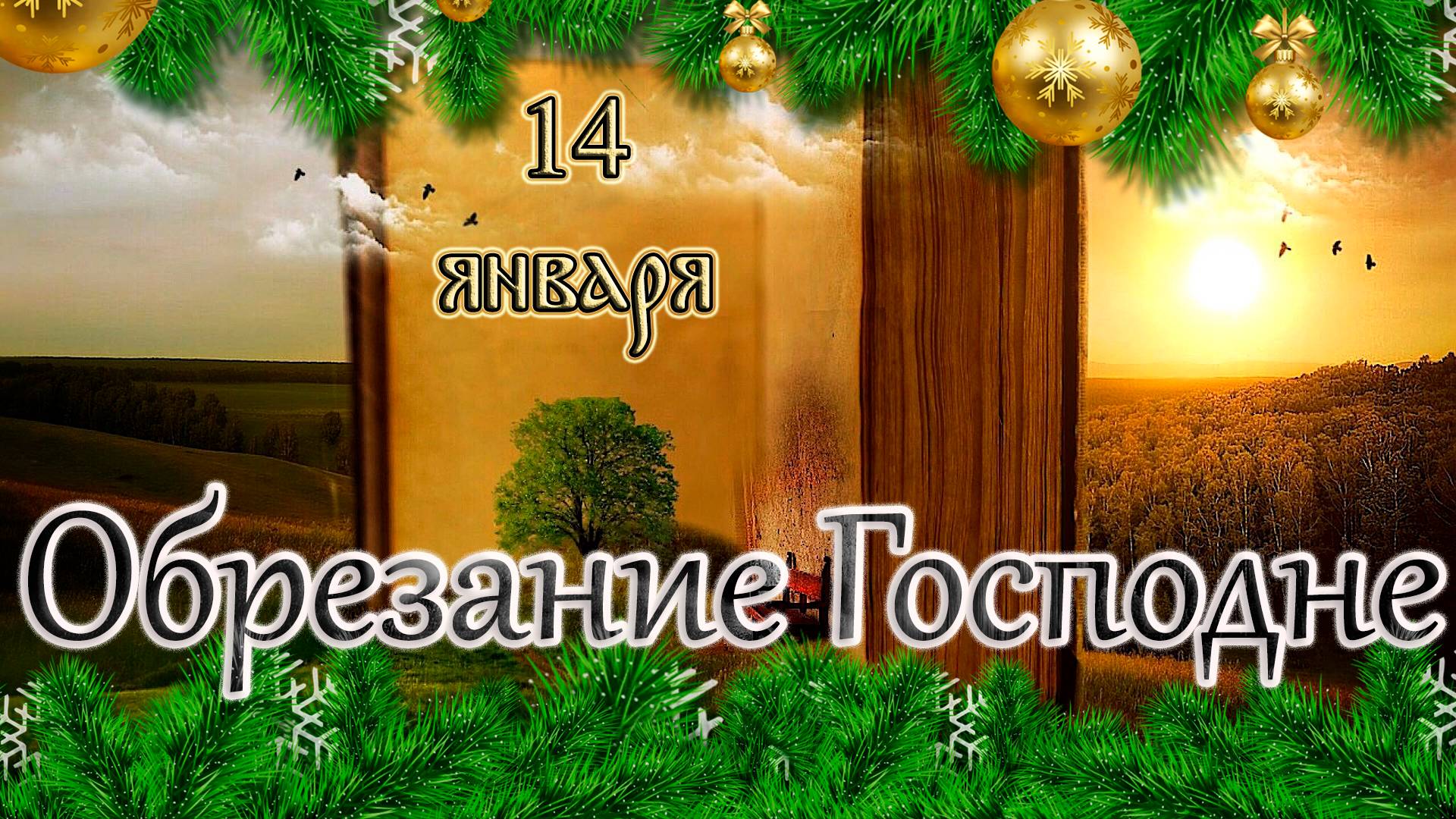 Апостол, Евангелие и Святые дня. Обрезание Господне. (14.01.25) смотреть онлайн