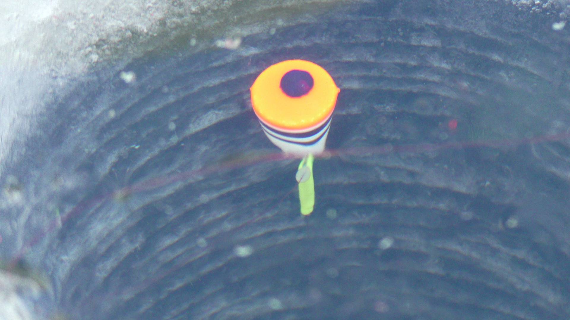 Не успел опустить поплавок, как сразу поклёвка. Давно я так не ловил. Зимняя рыбалка смотреть онлайн