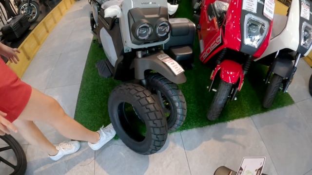 HONDA ZOOMER E | BESTSELLER E-BIKE | ELECTRIC CYCLERY