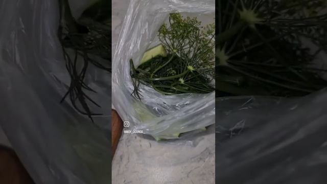 Вегетарианские вариации