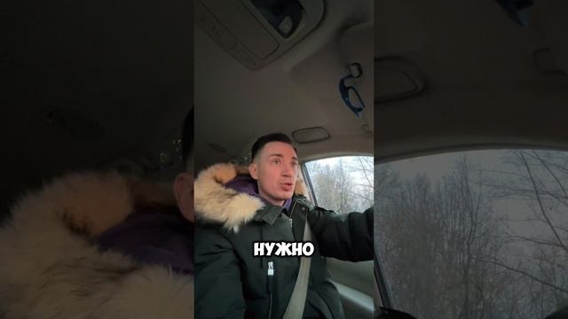 Камеры и ОСАГО смотреть онлайн